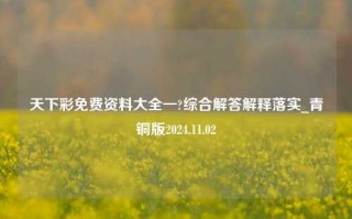 天下彩免费资料大全一?综合解答解释落实_青铜版2024.11.02