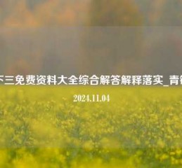 天下三免费资料大全综合解答解释落实_青铜版2024.11.04