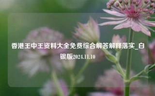 香港王中王资料大全免费综合解答解释落实_白银版2024.11.10