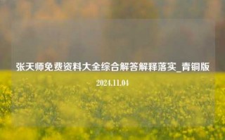 张天师免费资料大全综合解答解释落实_青铜版2024.11.04