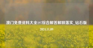 澳门免费资料大全197综合解答解释落实_钻石版2024.11.09