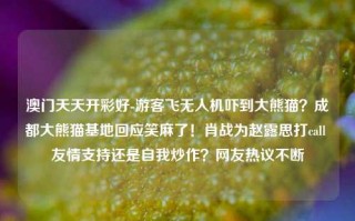 澳门天天开彩好-游客飞无人机吓到大熊猫？成都大熊猫基地回应笑麻了！肖战为赵露思打call 友情支持还是自我炒作？网友热议不断