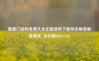 新奥门资料免费大全正版资料下载综合解答解释落实_钻石版2024.11.02