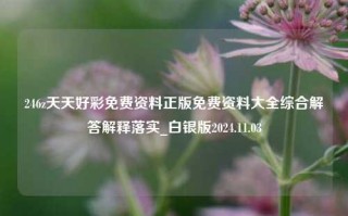 246z天天好彩免费资料正版免费资料大全综合解答解释落实_白银版2024.11.03