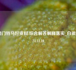 新澳门特马好资料:综合解答解释落实_白银版2024.11.10