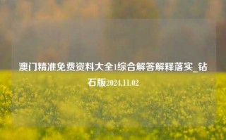 澳门精准免费资料大全1综合解答解释落实_钻石版2024.11.02