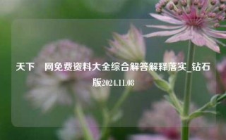 天下釆网免费资料大全综合解答解释落实_钻石版2024.11.08