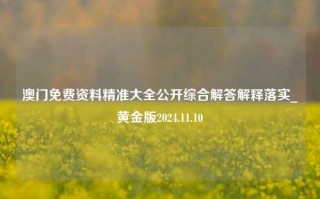 澳门免费资料精准大全公开综合解答解释落实_黄金版2024.11.10