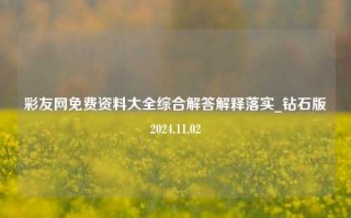 彩友网免费资料大全综合解答解释落实_钻石版2024.11.02