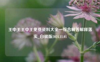 王中王王中王免费资料大全一综合解答解释落实_白银版2024.11.01