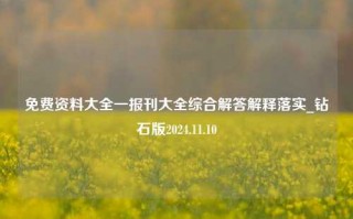 免费资料大全一报刊大全综合解答解释落实_钻石版2024.11.10