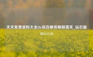 天天免费资料大全28c综合解答解释落实_钻石版2024.11.05