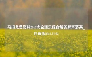 马报免费资料2017大全娱乐综合解答解释落实_白银版2024.11.03