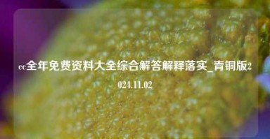 cc全年免费资料大全综合解答解释落实_青铜版2024.11.02