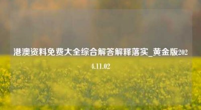 港澳资料免费大全综合解答解释落实_黄金版2024.11.02