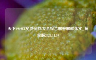 天下4949CC免费资料大全综合解答解释落实_黄金版2024.11.09