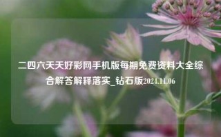 二四六天天好彩网手机版每期免费资料大全综合解答解释落实_钻石版2024.11.06