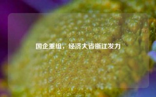 国企重组，经济大省浙江发力