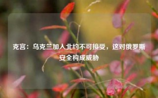 克宫：乌克兰加入北约不可接受，这对俄罗斯安全构成威胁