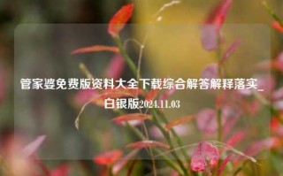 管家婆免费版资料大全下载综合解答解释落实_白银版2024.11.03