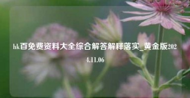 hk百免费资料大全综合解答解释落实_黄金版2024.11.06