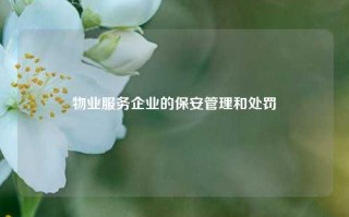 物业服务企业的保安管理和处罚