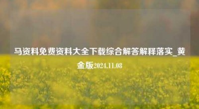 马资料免费资料大全下载综合解答解释落实_黄金版2024.11.08