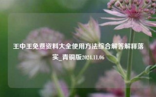 王中王免费资料大全使用方法综合解答解释落实_青铜版2024.11.06