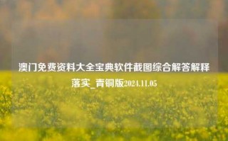 澳门免费资料大全宝典软件截图综合解答解释落实_青铜版2024.11.05