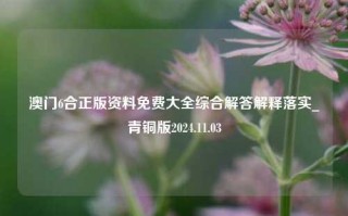 澳门6合正版资料免费大全综合解答解释落实_青铜版2024.11.03