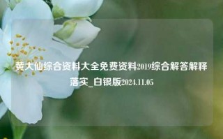 黄大仙综合资料大全免费资料2019综合解答解释落实_白银版2024.11.05