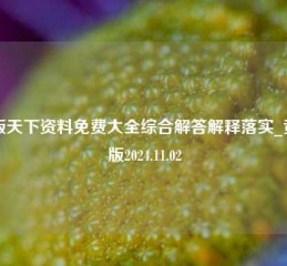 正版天下资料免费大全综合解答解释落实_黄金版2024.11.02