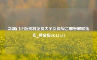 新澳门正版资料免费大全新闻综合解答解释落实_黄金版2024.11.04