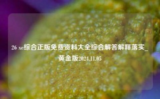 26 xe综合正版免费资料大全综合解答解释落实_黄金版2024.11.05