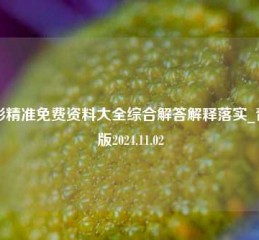 电影精准免费资料大全综合解答解释落实_青铜版2024.11.02