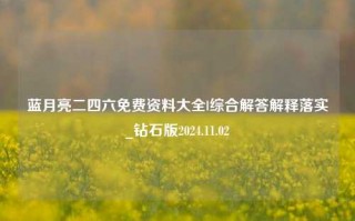 蓝月亮二四六免费资料大全l综合解答解释落实_钻石版2024.11.02