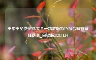 王中王免费资料大全一精准版特色综合解答解释落实_白银版2024.11.10