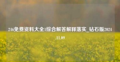 246免费资料大全1综合解答解释落实_钻石版2024.11.09