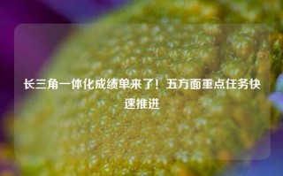 长三角一体化成绩单来了！五方面重点任务快速推进