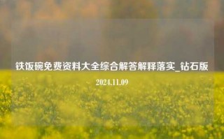 铁饭碗免费资料大全综合解答解释落实_钻石版2024.11.09