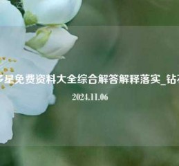 智多星免费资料大全综合解答解释落实_钻石版2024.11.06