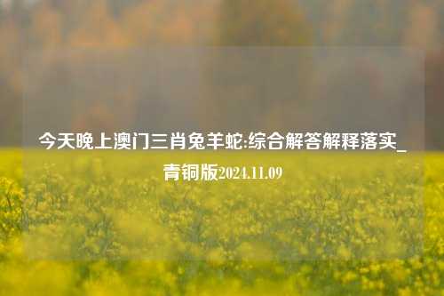 今天晚上澳门三肖兔羊蛇:综合解答解释落实_青铜版2024.11.09-第1张图片-陕西军卫安保服务公司