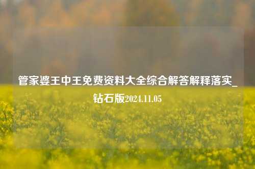 管家婆王中王免费资料大全综合解答解释落实_钻石版2024.11.05-第1张图片-陕西军卫安保服务公司