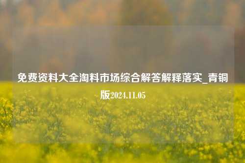 免费资料大全淘料市场综合解答解释落实_青铜版2024.11.05-第1张图片-陕西军卫安保服务公司