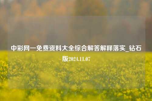 中彩网一免费资料大全综合解答解释落实_钻石版2024.11.07-第1张图片-陕西军卫安保服务公司