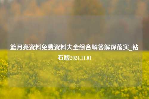 篮月亮资料免费资料大全综合解答解释落实_钻石版2024.11.01-第1张图片-陕西军卫安保服务公司