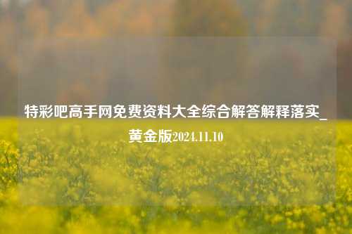 特彩吧高手网免费资料大全综合解答解释落实_黄金版2024.11.10-第1张图片-陕西军卫安保服务公司