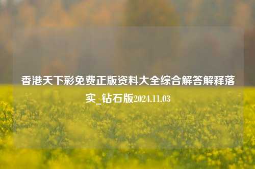 香港天下彩免费正版资料大全综合解答解释落实_钻石版2024.11.03-第1张图片-陕西军卫安保服务公司