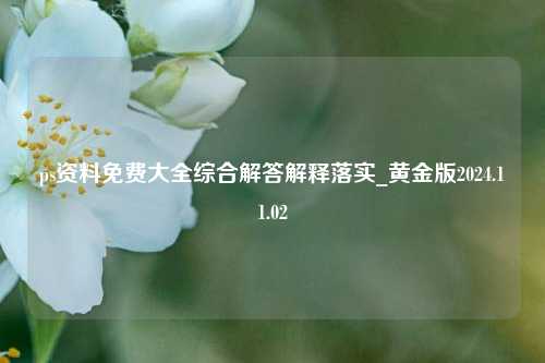 ps资料免费大全综合解答解释落实_黄金版2024.11.02-第1张图片-陕西军卫安保服务公司