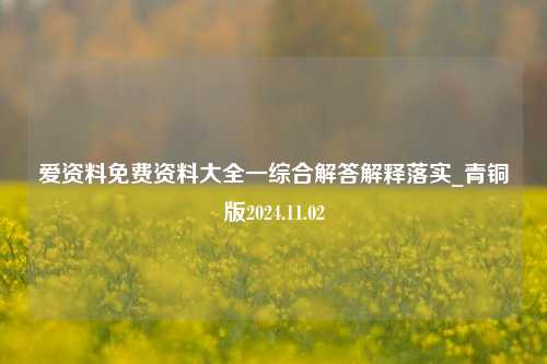 爱资料免费资料大全一综合解答解释落实_青铜版2024.11.02-第1张图片-陕西军卫安保服务公司